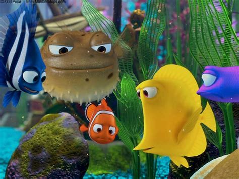 finding nemo blue fish|24 Most Popular Types of Fish from Finding Nemo .
